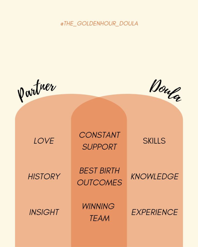 Partner and Doula differences and similarities venn diagram. 